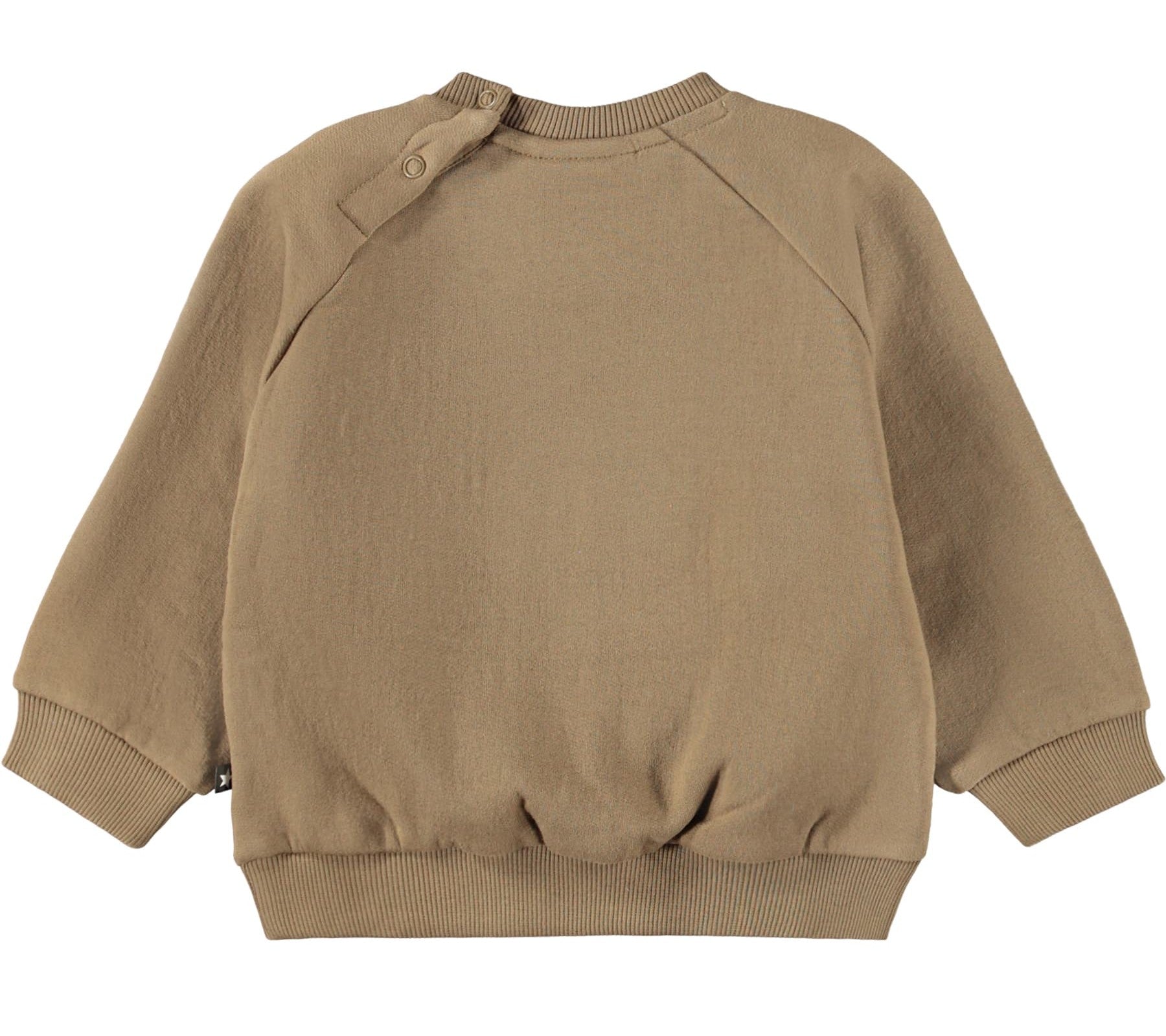 MOLO Disc Sweatshirt - Elmwood