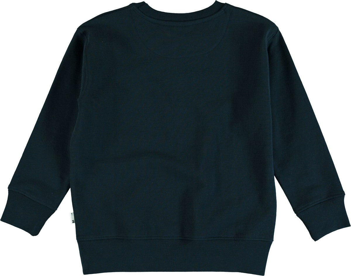 MOLO Main Sweatshirt (6s19J201-2693)