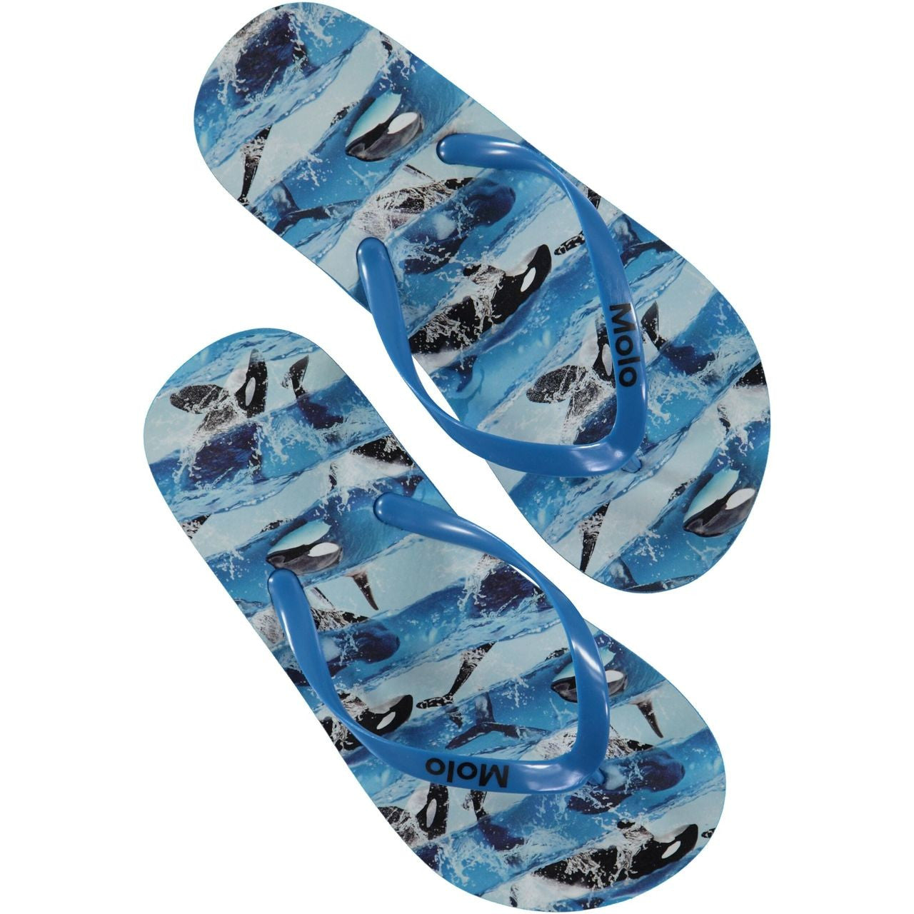 MOLO Zeppo FlipFlops - Killer Whale 