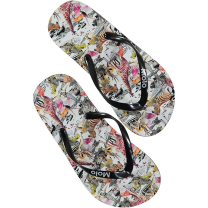 MOLO Zeppo FlipFlops - Safari