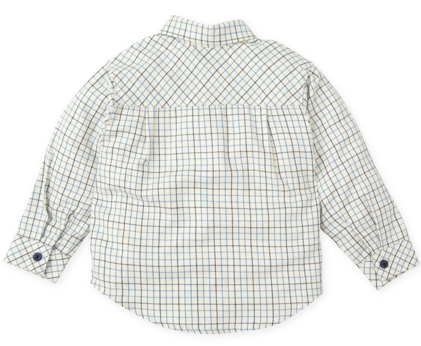 Tutto Piccolo Dress Shirt  8014W24 B00