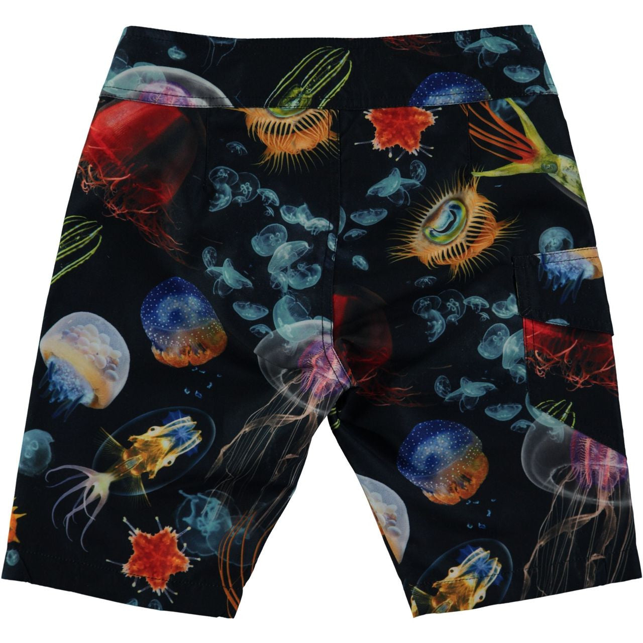 Molo Nalvaro Swimshorts - Deep Sea 