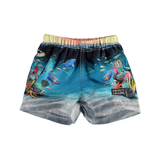 MOLO Newton swim shorts - Happy Baby Fish (8S22P303-7584)