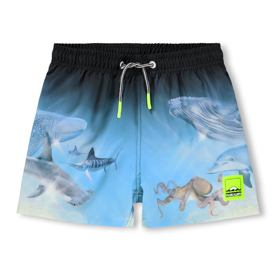 MOLO Niko Swimtrunks - Air Brush Deep