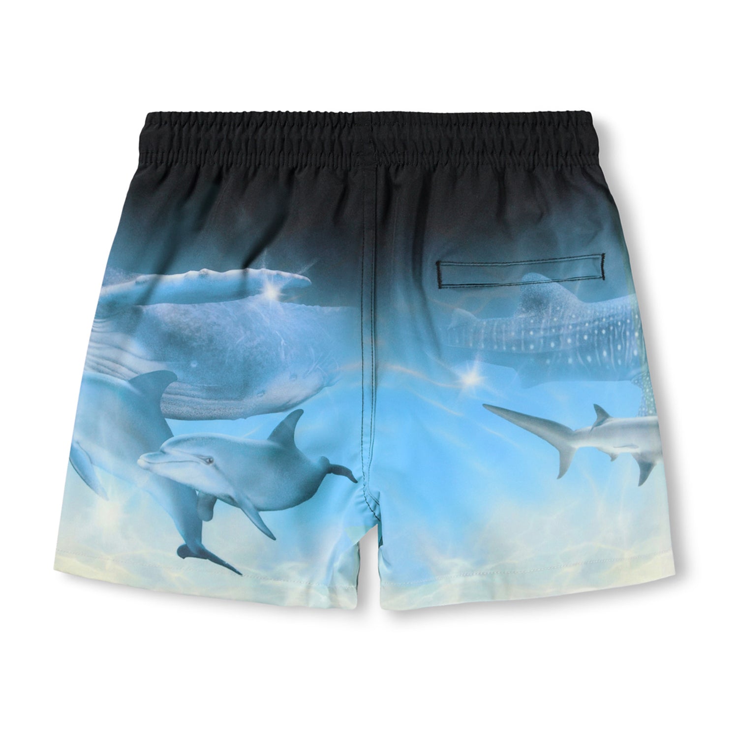 MOLO Niko Swimtrunks - Air Brush Deep