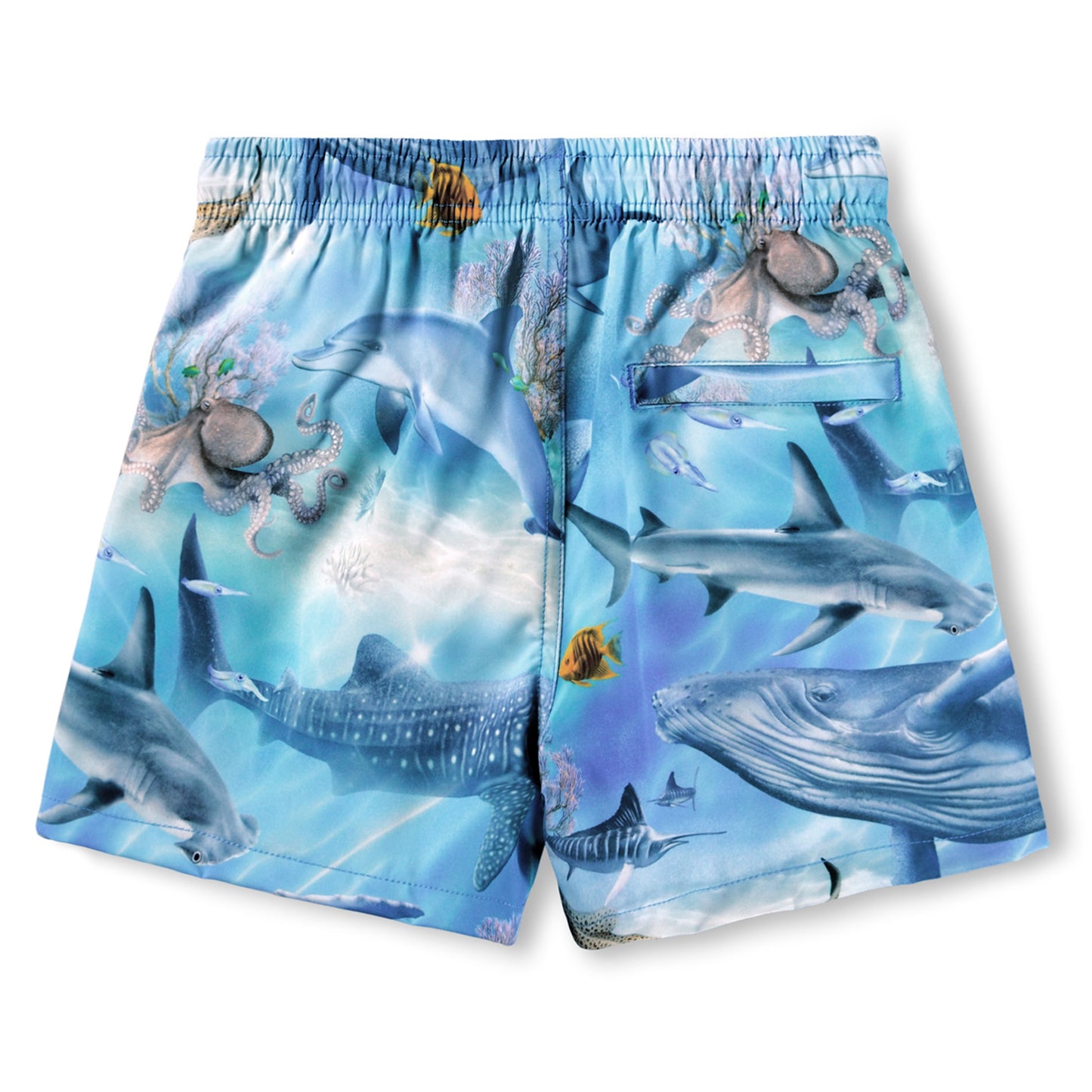 MOLO Niko Swimtrunks - Air Brush Ocean