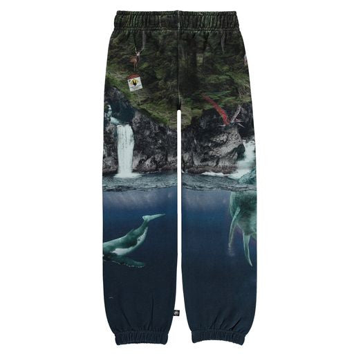 MOLO JURASSIC Am Sweatpants - Co-Exist 