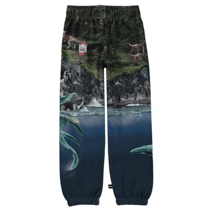 MOLO JURASSIC Am Sweatpants - Co-Exist 