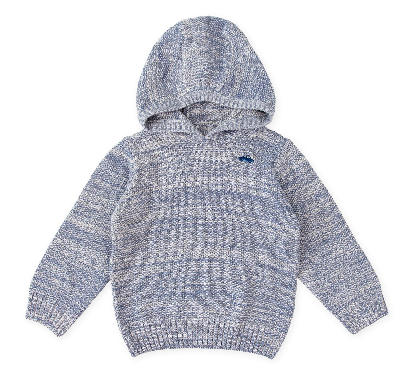 Tutto Piccolo Boys Hooded Sweater 3854W25