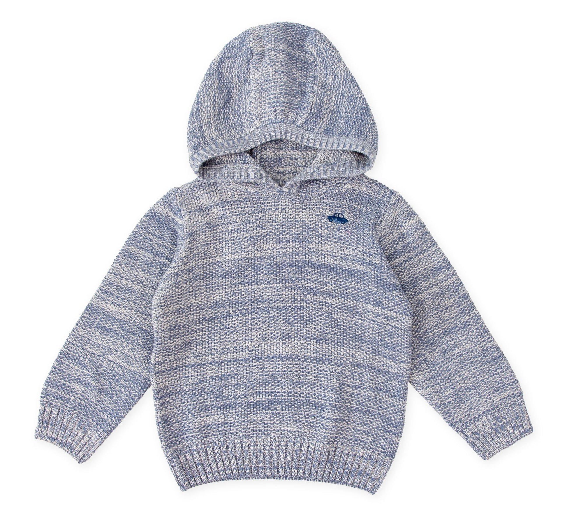 Tutto Piccolo Boys Hooded Sweater 3854W25