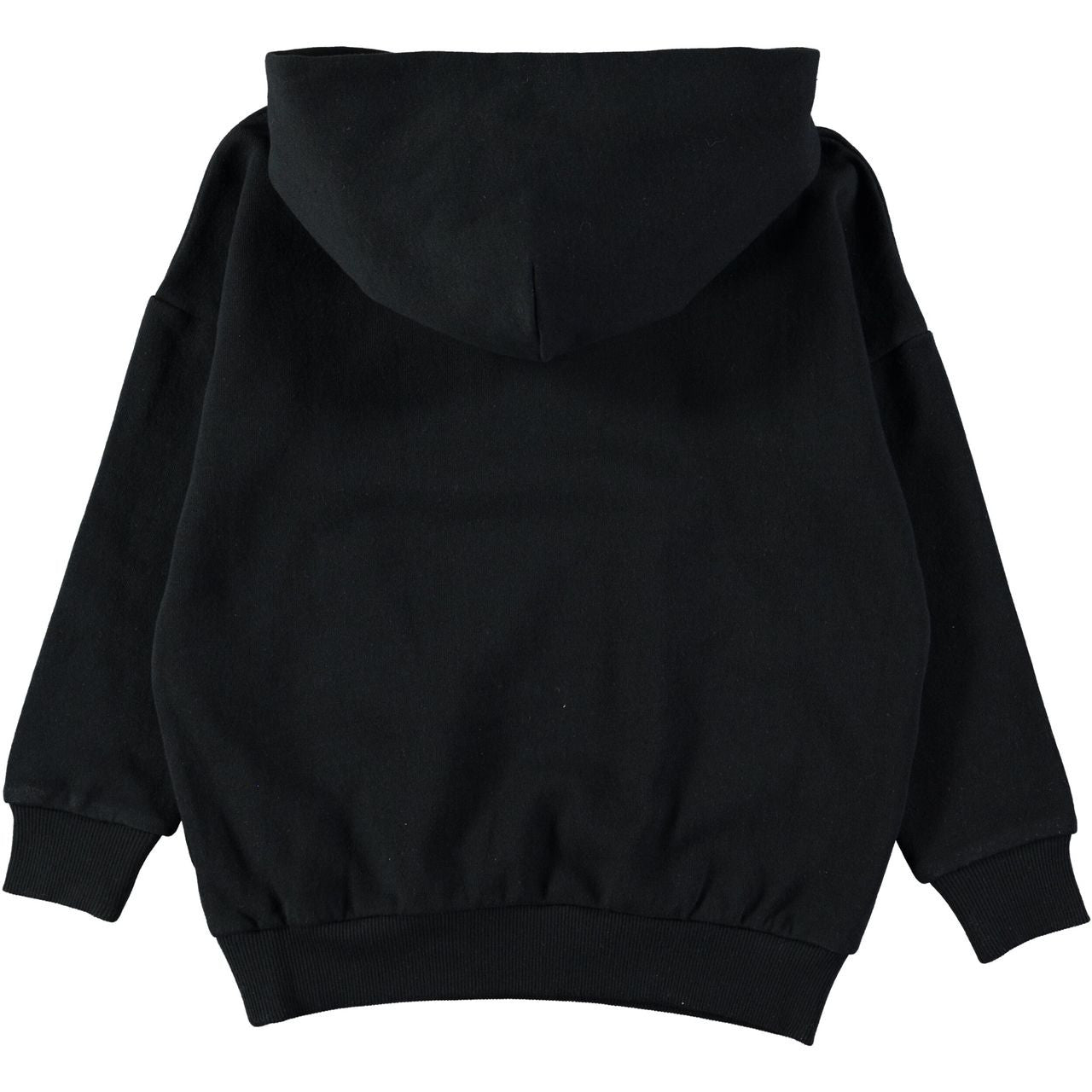 MOLO Miles Hoodie (1w18j315) 