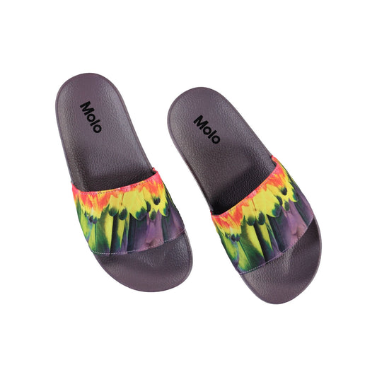 MOLO Zhappy Slides - Amazon Parrots (7s20u202-7097)