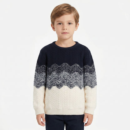 Emanuel Pris Sweater EMG7109