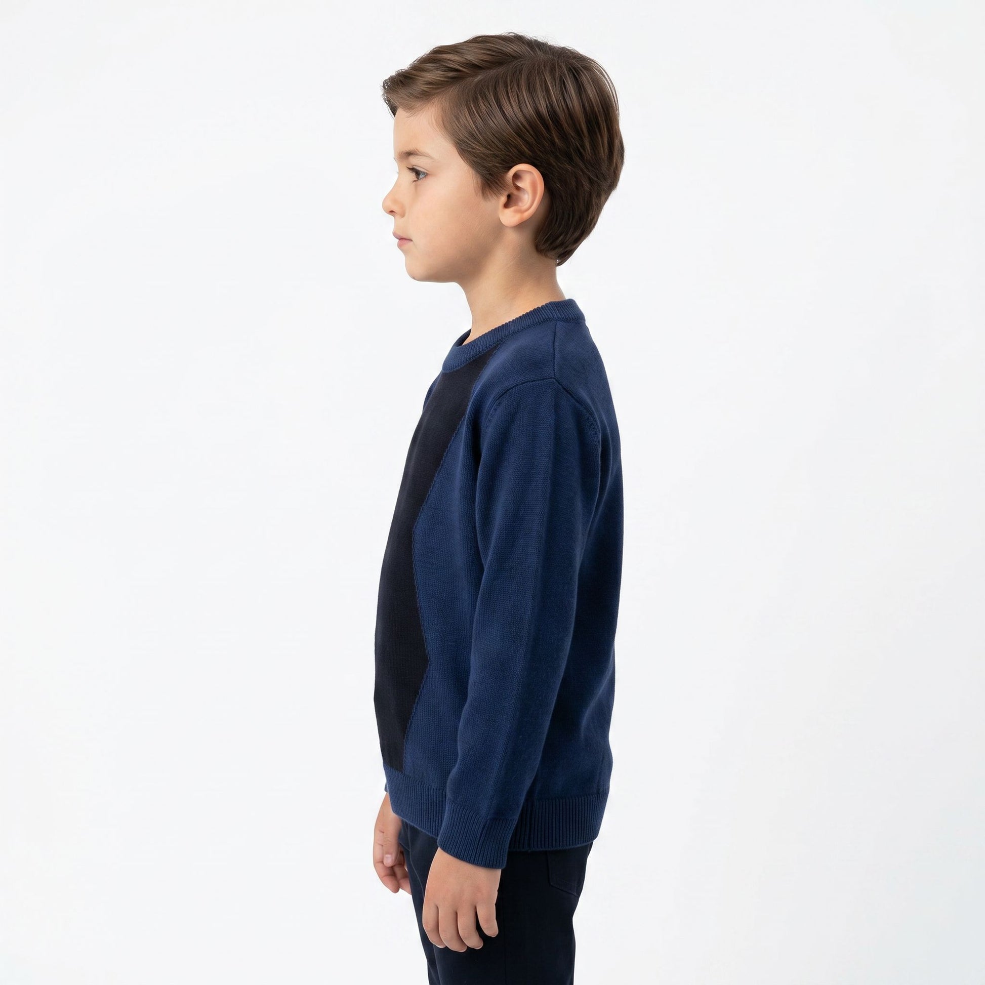 Emanuel Pris Sweater EMG7127