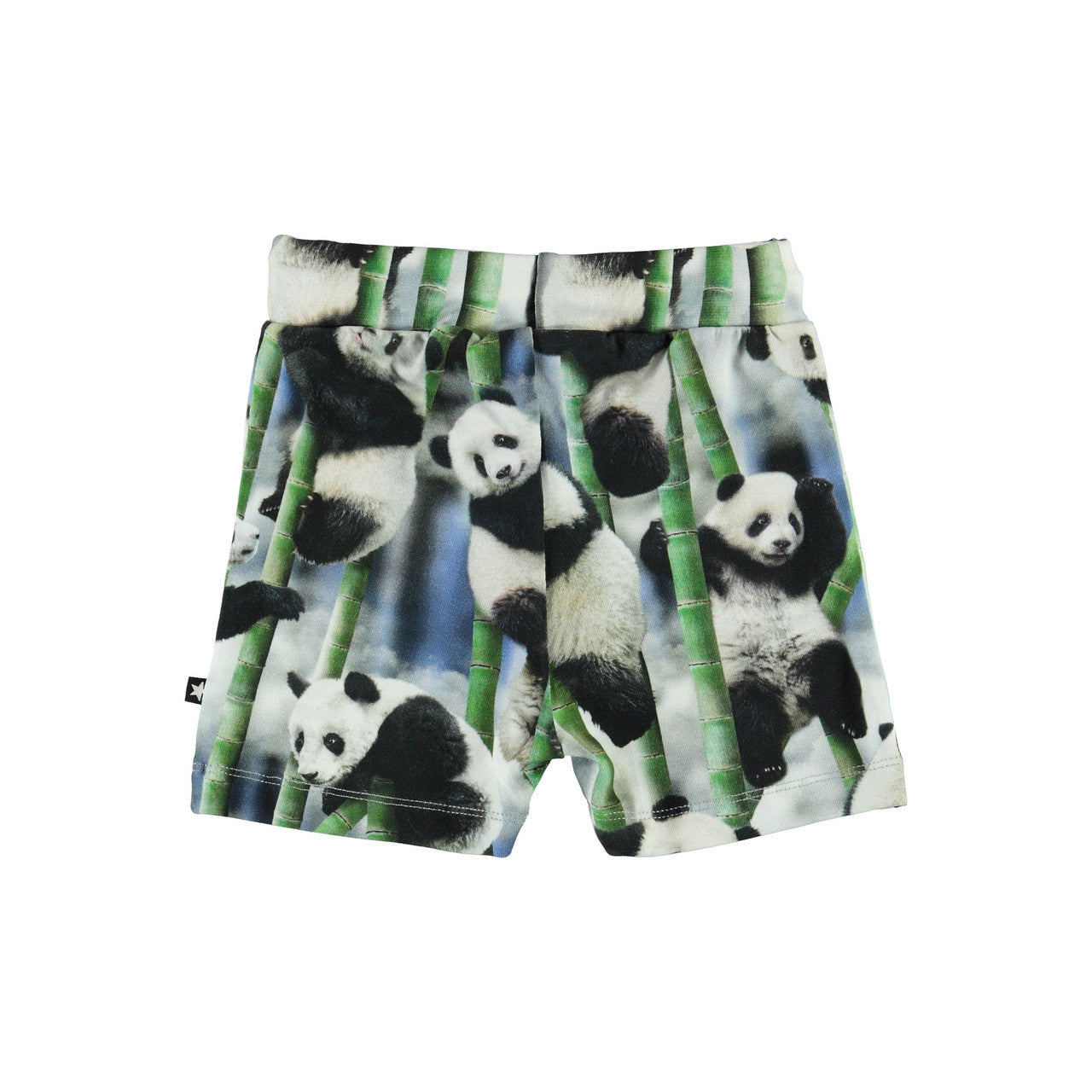 MOLO Simroy Shorts - Panda