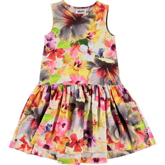  MOLO Candece Dress - Pacific Floral