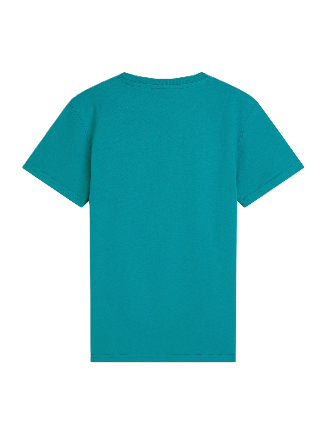 Scotch Shrunk Tahitian Teal Top 181985 - 410