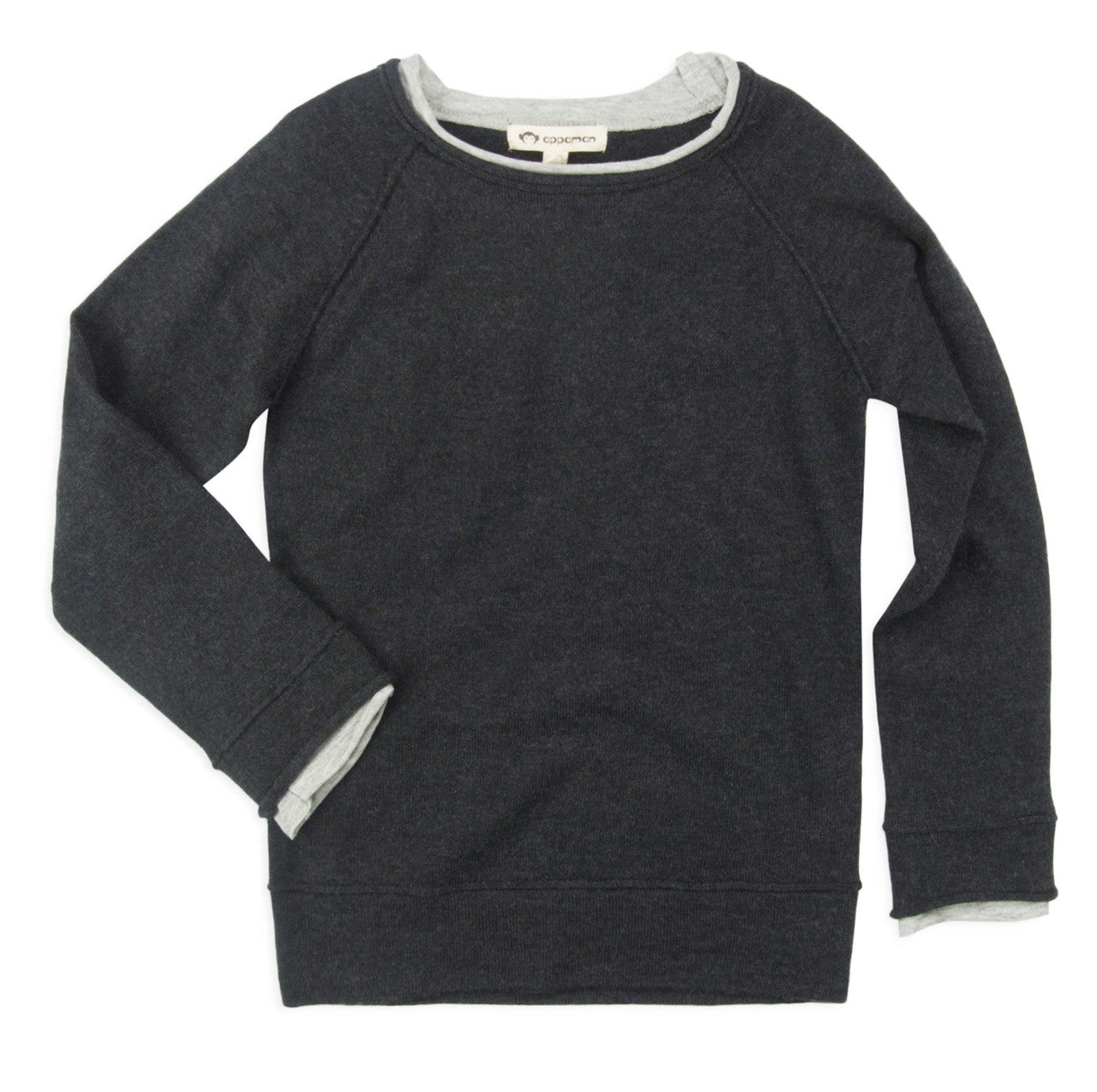 Appaman Jackson Grey Sweater (A1RNS)
