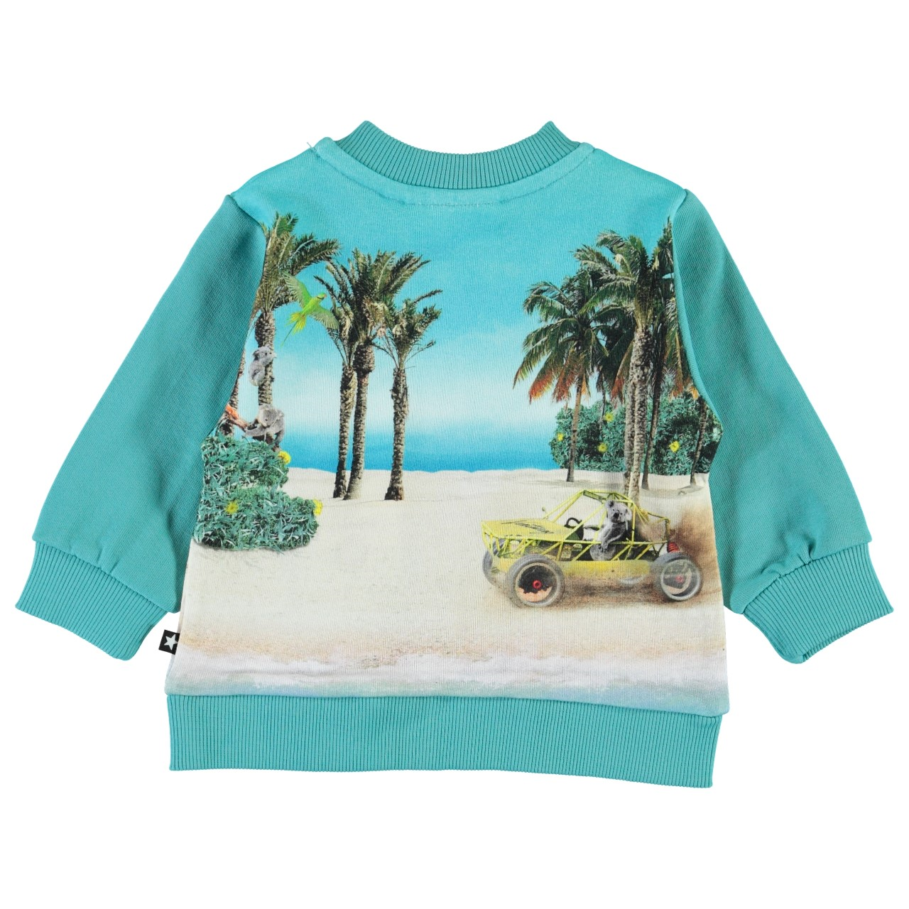 MOLO Duff Sweatshirt - Venturing Koala